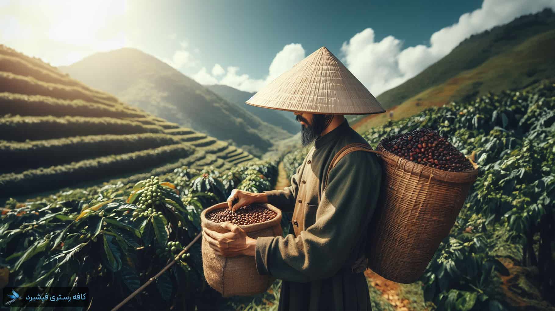 vietnamese coffee history 2
