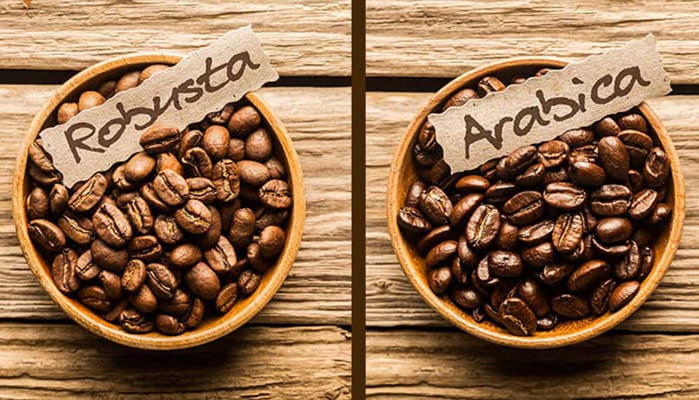 fishbird-coffee-background-robusta-arabica