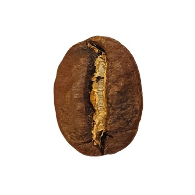 Guatemala coffee 1