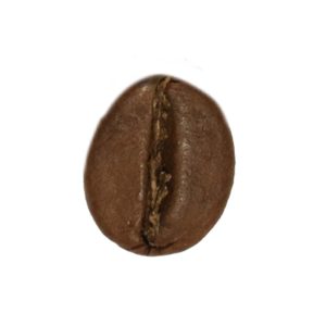 قهوه تک خاستگاه چری فیشبرد