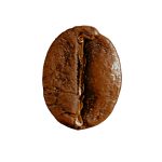 Indian plantation coffee 1