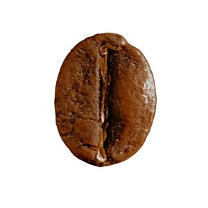 Indian plantation coffee 1